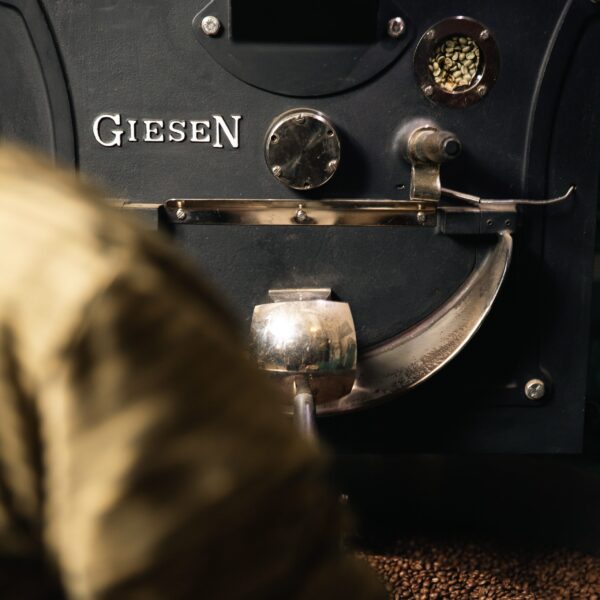 Pegaso<br>Manuel espressomaskine - Billede 2